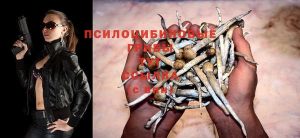 а пвп мука Володарск