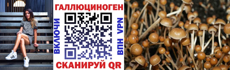 купить наркотики цена  Екатеринбург  Псилоцибиновые грибы GOLDEN TEACHER 